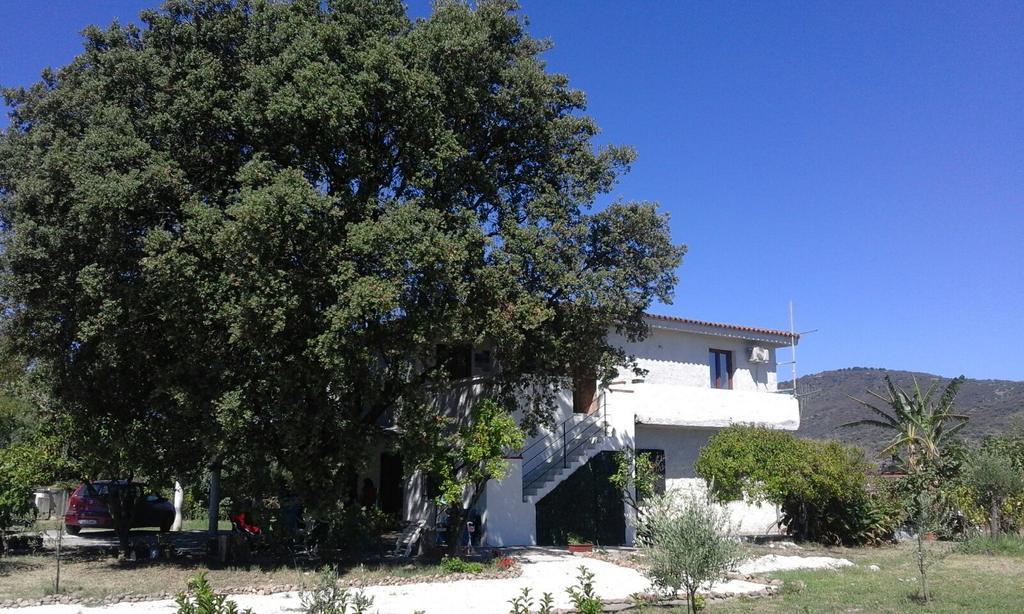Santu Paulu Country House Posada (Sardinia) Exterior foto